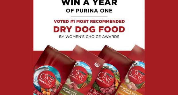 Un an de Nourriture pour chien Purina