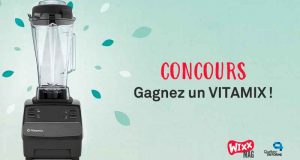 Un mélangeur Vitamix Turboblend (450$)