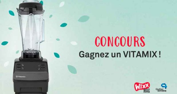 Un mélangeur Vitamix Turboblend (450$)