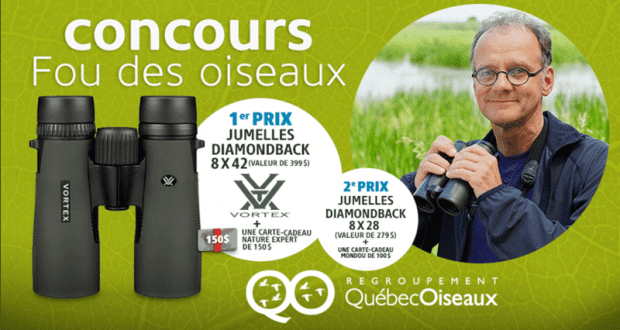 Une paire de jumelles Diamondback 8×42 de Vortex