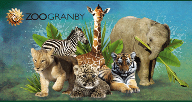 4 Séjours pour 6 personnes au Zoo de Granby