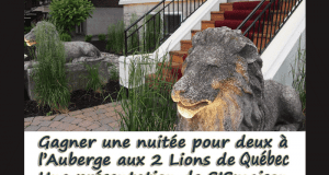 Forfait pour 2 a l'Auberge aux Deux Lions