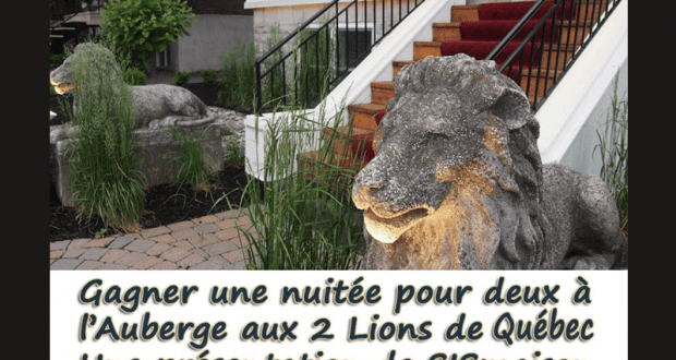 Forfait pour 2 a l'Auberge aux Deux Lions