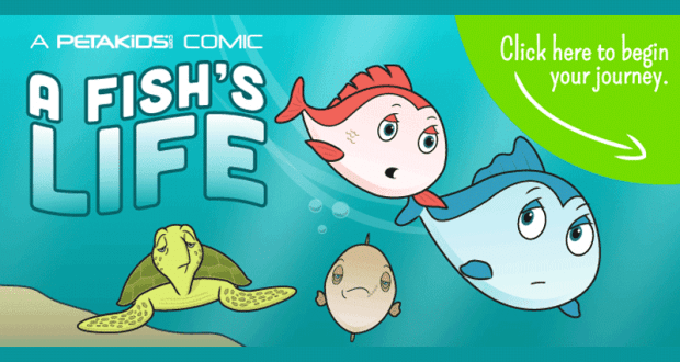 Stickers Gratuits A Fish's Life