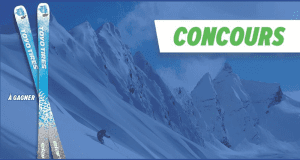 Une paire de ski de marque Elan