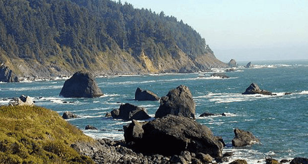 Voyage pour deux personnes à Redwood Coast en Californie