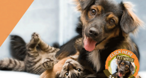 Échantillons gratuits de Pet Wants pour chats et chiens