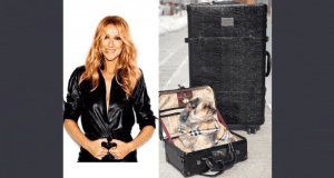2 valises Céline Dion