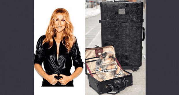 2 valises Céline Dion