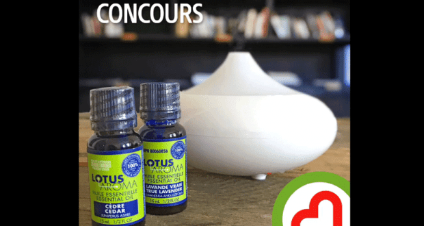 Diffuseur ultrasonique + huiles essentielles Cèdre et Lavande vraie