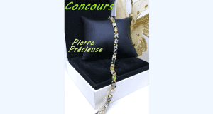 Un Bracelet plaqué Or 18K Douze Pierre Précieuse