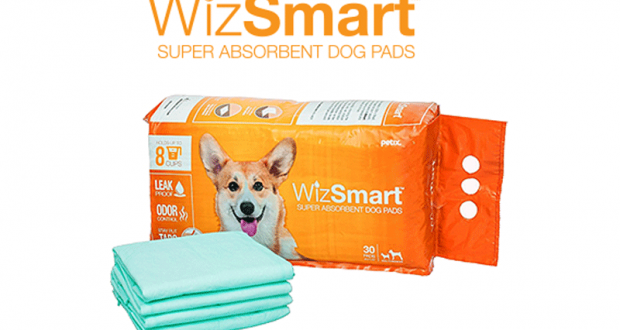 Échantillons gratuits de tampons pour chiens WizSmart