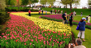 Forfait Festival des tulipes à Ottawa pour 2 personnes