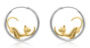 Boucles d'oreilles à gagner