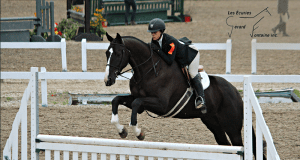 10 leçons à gagner chez Les Écuries Gérard Fontaine