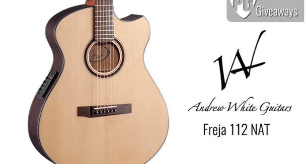 Guitare acoustique Andrew White