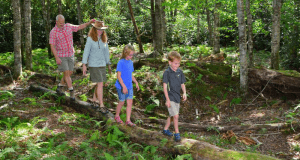 Séjour en Caroline du Nord pour 4 personnes