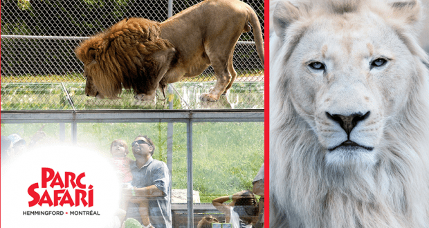 Une journée VIP au Parc Safari pour 4 (800 $)