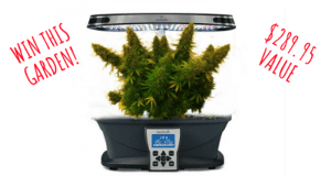 Gagnez un Miracle-Gro AeroGarden Ultra (289,95 $)
