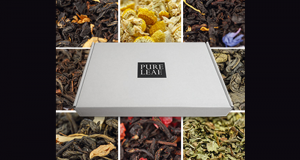 Trousse d'échantillons gratuits de thé chaud Pure Leaf