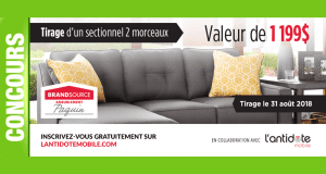 Un sectionnel 2 morceaux, d'une valeur de 1 199$