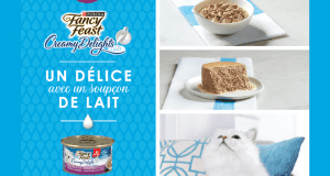 Échantillons gratuits de nourriture pour chats Fancy Feast