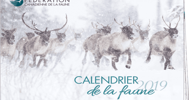 Calendrier 2019 de la FCF à recevoir gratuitement chez vous