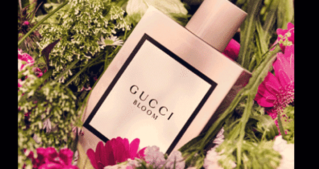 Échantillons gratuits du parfum Gucci Bloom