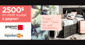 2 500$ en crédit voyage