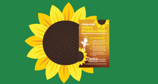 Semences de Tournesol Gratuits