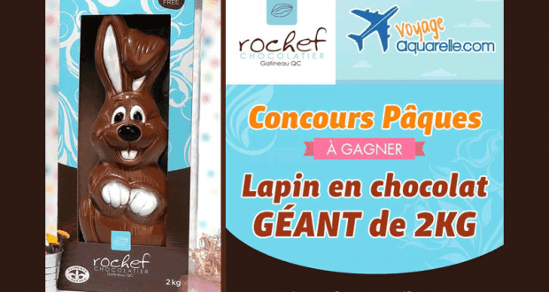 Lapin en chocolat géant de 2kg