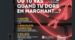 Forfait nuitée à l'hôtel Château Bellevue + spectacles