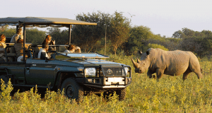 Gagnez vos vacances pour 2 en Afrique du Sud (Valeur de 14390 $)