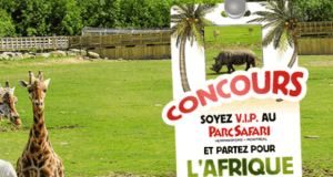 Un Circuit Safari et Plage au Kenya de 11 jours