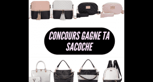 Un sac à main de votre choix