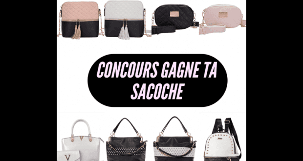 Un sac à main de votre choix