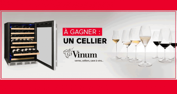 Un luxueux cellier Vinum en inox BKS-54- SZSS de 1500$