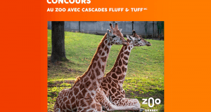 3 ensembles de 4 billets pour le Zoo de Granby (160$ chacun)