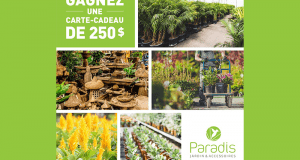 Carte-cadeau Paradis Jardin & Accessoires de 250$
