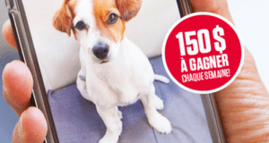 17 gagnants mériteront cent cinquante dollars canadiens (150 $)