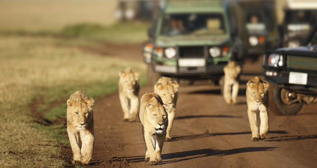 Gagnez un voyage pour 4 personnes au Kenya (Valeur de 25.980$)