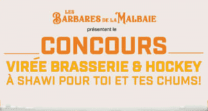 Forfait pour 4 personnes à Shawinigan (Valeur de 1000$)