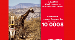 Gagnez un Voyage en Afrique du Sud (Valeur de 10 000$)