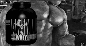 Échantillons gratuits de protéines Animal Whey