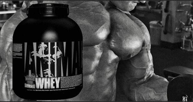 Échantillons gratuits de protéines Animal Whey