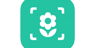 Application iplant - Plant identifier gratuite