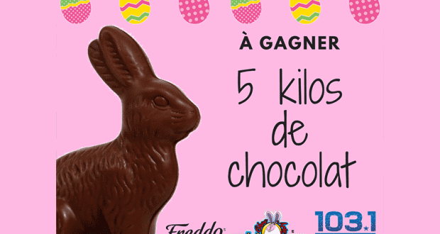 Gigantesque lapin en chocolat pour Pâques - 5 kilos