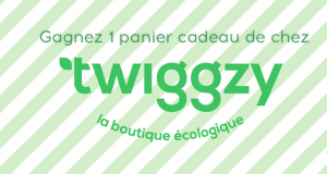 Panier cadeau boutique écologique Twiggzy (Valeur de 507$)