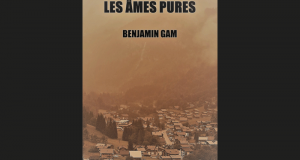 eBook Les âmes pures de Benjamin Gam gratuit