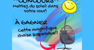 Magnifique chaise suspendue